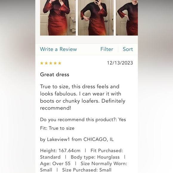 100% silk Anthropologie NWT Delfi Collective Long-Sleeve Ombre Slip Dress size S - Picture 6 of 6